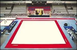 Quel est le tapis ou les gymnastes excutent leurs sauts ?