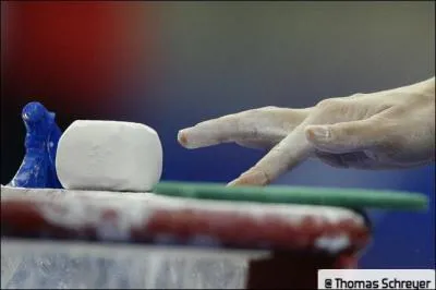Comment s'appelle la poudre que l'on met sur les mains pour la barre ?