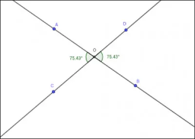 Que pouvez-vous dire de ces angles ?