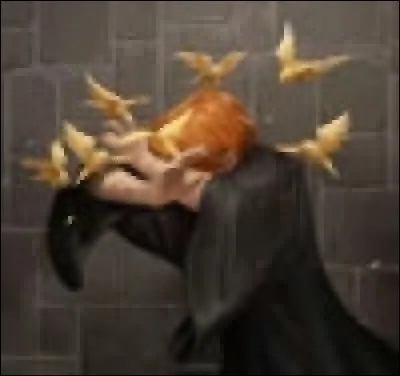 Quelle est la formule du sortilège Oppugno utilisée par Ollivander dans HP 4 et par Hermione dans HP6 ?