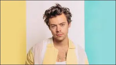 Qui est en couple avec Harry Stiles ?