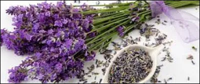 Vous êtes invités aux noces de lavande de vos amis. Vous vous posez la question : depuis combien de temps sont-ils mariés déjà ?