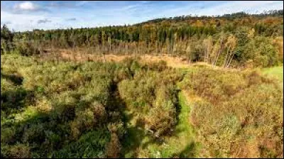Je vous propose une balade dans le Grand-Est, à la tourbière de Bertrichamps, près de Baccarat. Nous serons dans le département ...