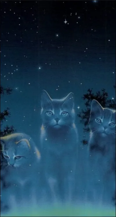 Comment s'appellent les ancêtres des chats des clans ?
