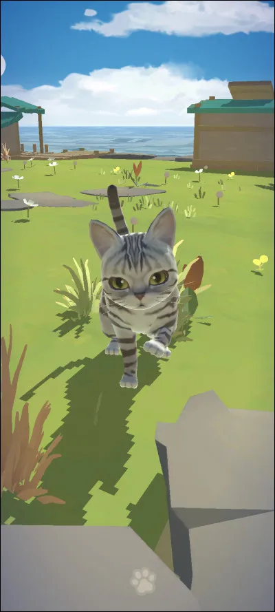 Quels sont les noms des 2 petits de Plume Grise lorsqu'ils sont chatons ?