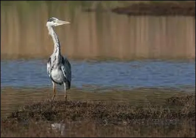 Commune de 1 900 habitants, située dans le département du Rhône, près de Givors :
