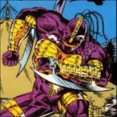 Quel est le nom de ce personnage ?