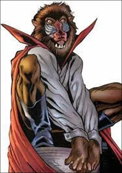 Quel est le nom de ce personnage ?