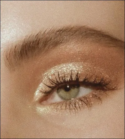 Que veux-tu le plus devenir plus tard ?