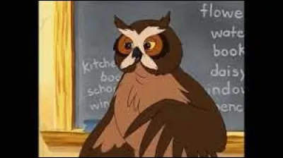 Dans quel dessin animé apparu dans les années 1990 peut-on y voir Monsieur Hibou ?