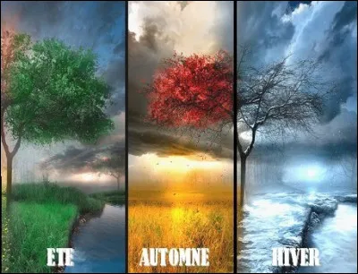 En quelle saison en consommes-tu le plus ?