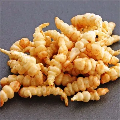 Quel nom est commun &agrave; une commune de l�Essonne et &agrave; un l&eacute;gume tuberculeux originaire de Chine ?