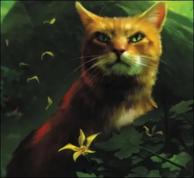 Quel personnage de "La Guerre des clans" admires-tu le plus ?