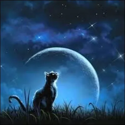 Si tu es nommé lieutenant, tu...