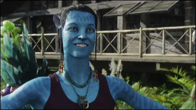 Comment se nomme cet avatar ?