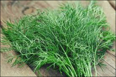 Cette épice se nomme :