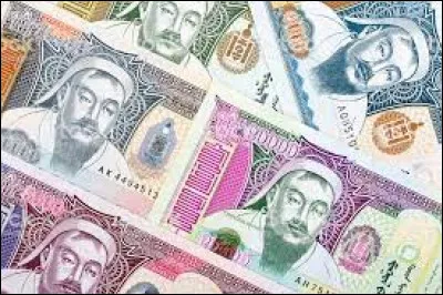 Quelle est la monnaie de la Mongolie ?
