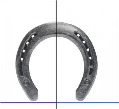 Comment s'appelle la partie en bleu clair ?