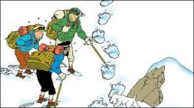 D'après le titre d'une bande dessinée des "Aventures de Tintin", où s'est-il rendu ?