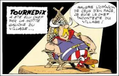 Vrai ou Faux : Tournedix est le père de Fanzine.