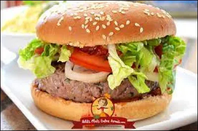 Avec quelle nourriture se mange principalement un burger ?