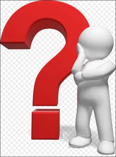 Quel genre de personne es-tu ? (Suite)