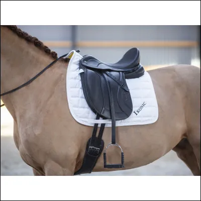 De quelle selle s'agit-il ?