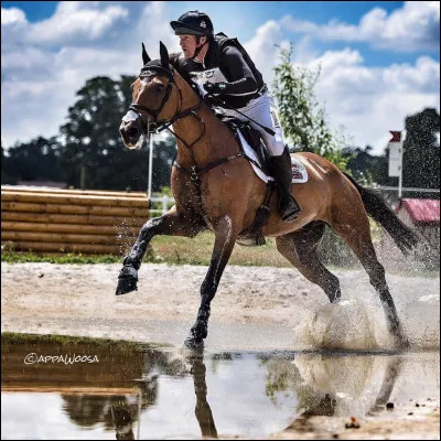 Quel est cette discipline à selle anglaise ?
