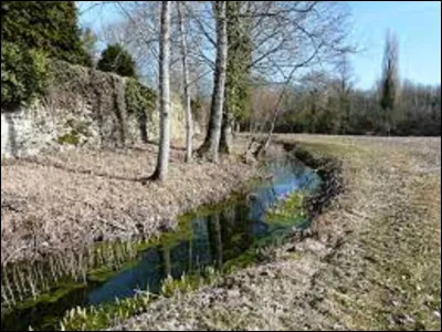 Géographie / Nature : 
''La Julie'' est un ruisseau qui coule dans un département de Nouvelle-Aquitaine, lequel ?