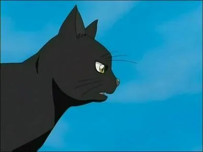 Quelle est l'identit secrte de ce chat ? (yoruichi)