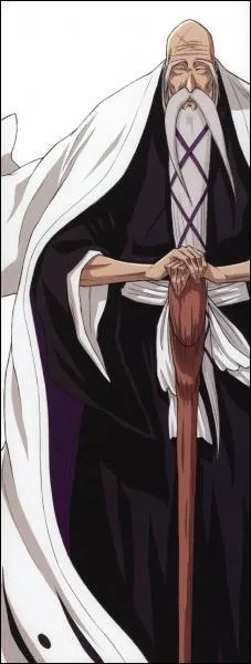 Que reprsente ce shinigami dans la soul society ?