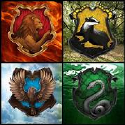 Quelle maison ''Harry Potter'' préfères-tu ?