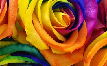Quiz Couleurs