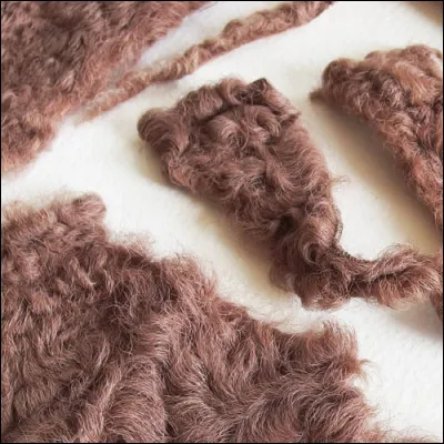 Astrakan : fourrure très démodée (heureusement), elle fut à la grande mode sur les manteaux des années 60 ou 70 ! De quel animal était-elle tirée ?