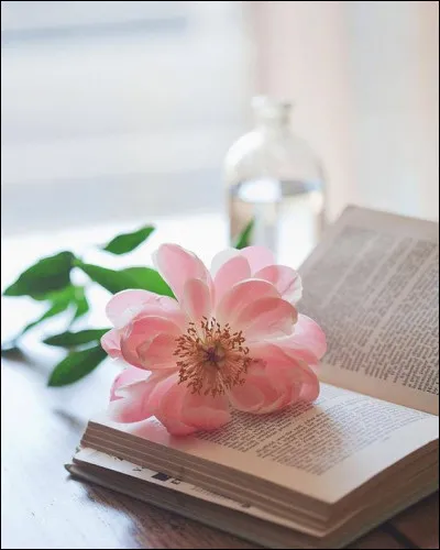 Astragale : qui a écrit le roman "L'Astragale" ?