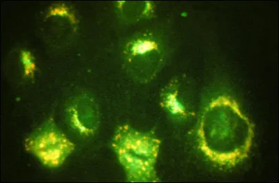 Astate : quel est le symbole de cet élément chimique ?