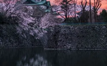 Quiz Japon