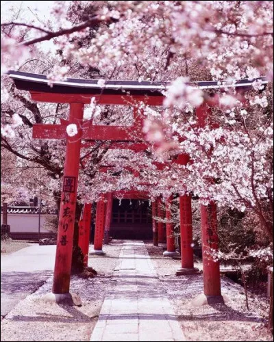 Après quel événement l'accident nucléaire de Fukushima s'est-il produit ?