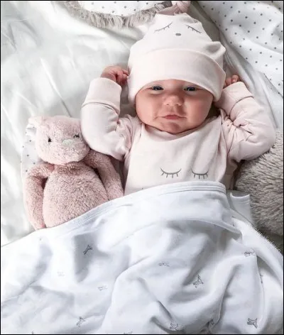 Dans lequel de ces pays le don de sperme est-il totalement illégal en 2022 ?