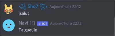 L'icône à côté de Navi [ !] indique qu'il s'agit d'un bot certifié.