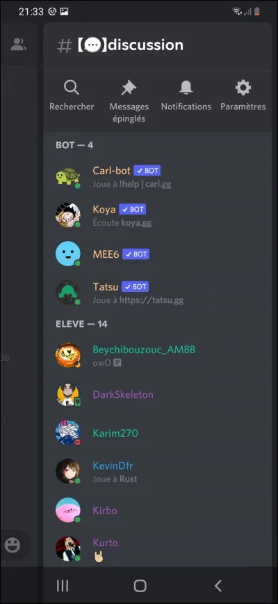 Le rôle @Élève ci-contre possède le paramètre "Afficher les membres qui ont ce rôle séparément des autres membres en ligne".