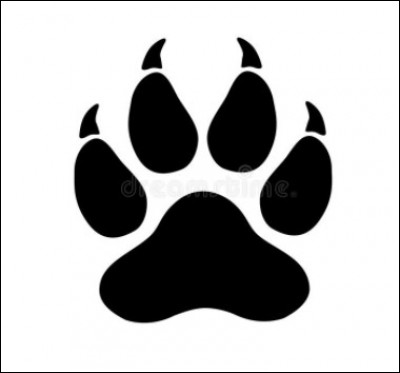 Le quel fait celle-ci ?