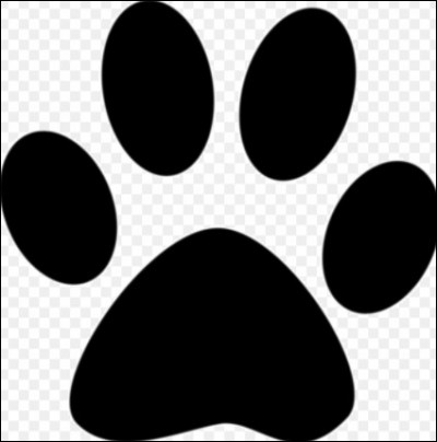Quel animal a cette trace de pattes ?