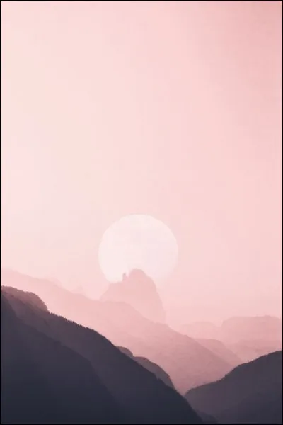 D'après le petit protagoniste, en quoi les adultes transforment-ils les batailles de petits pois ?