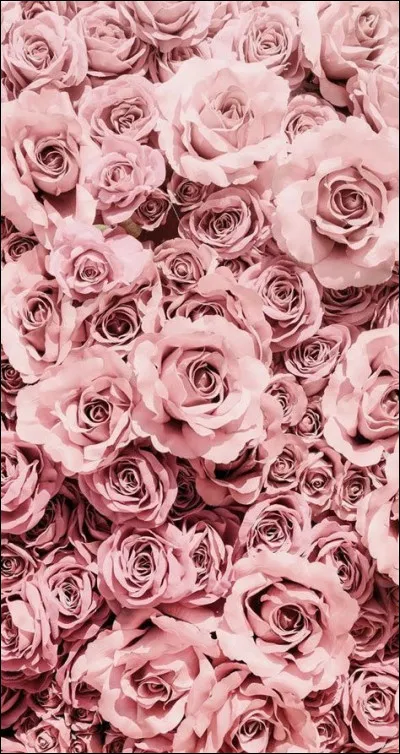 D'après les personnages, quel est le bonheur le plus grand ?