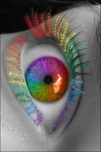 A quel stade de développement le bourgeon en est-il quand on l'appelle "il" ?