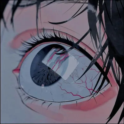 Où retrouve-t-on l'il de buf ?