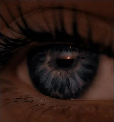 Comment l'il de Dieu est-il parfois surnommé ?