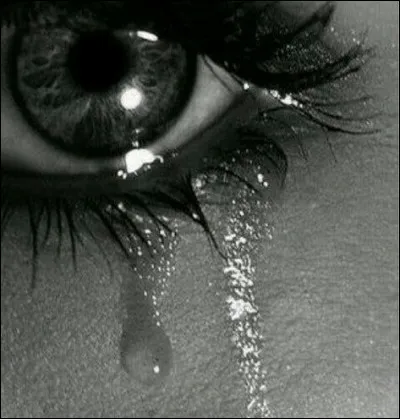 En quelle année étaient fondées les éditions O.E.I.L. ?