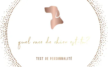 Quiz Couleurs